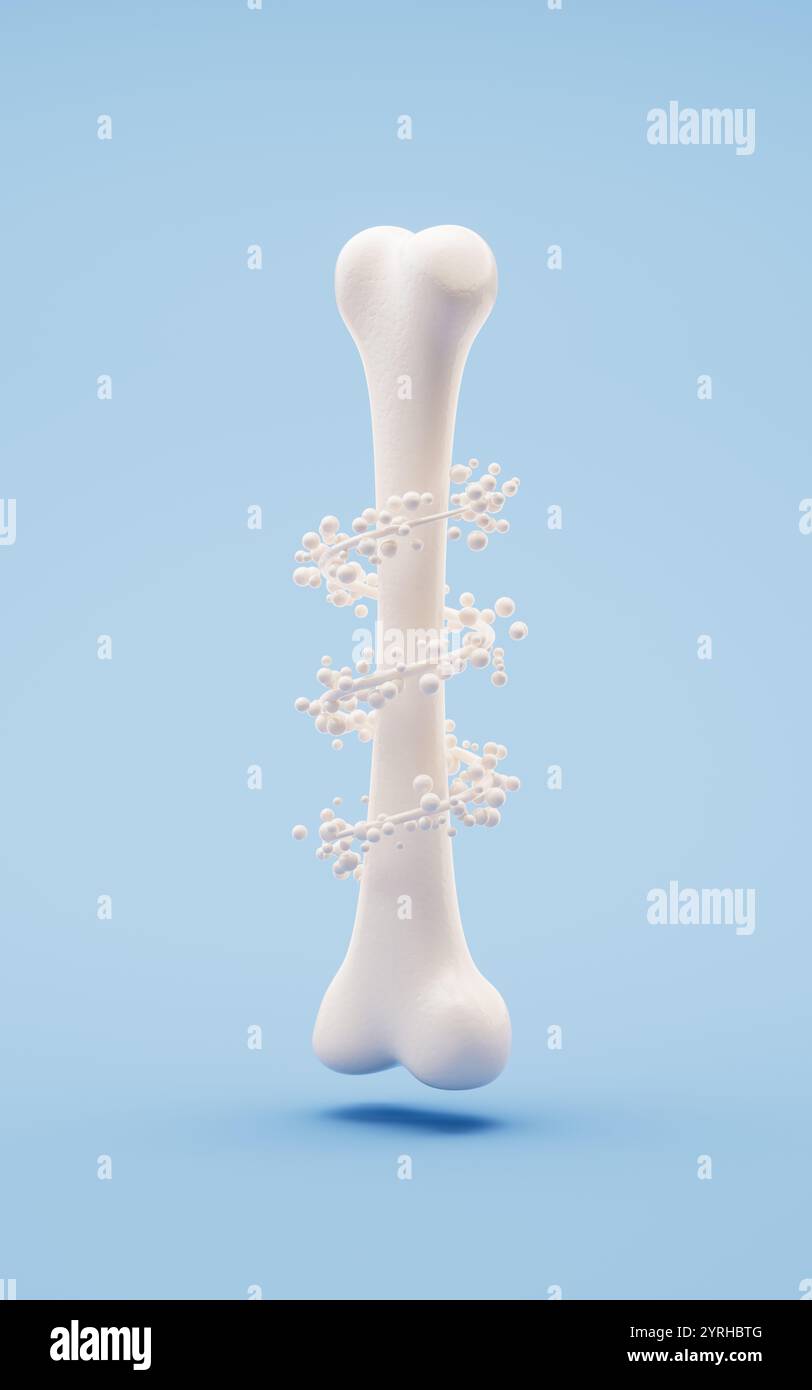 Anatomia biologica dello scheletro e della salute ossea, rendering 3d. Illustrazione 3D. Foto Stock