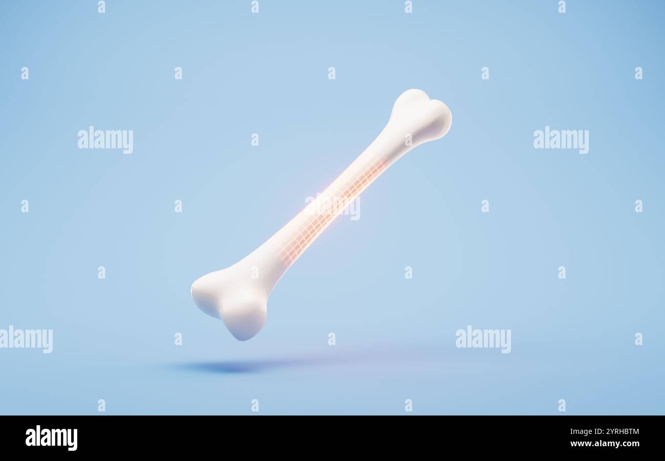 Anatomia biologica dello scheletro e della salute ossea, rendering 3d. Illustrazione 3D. Foto Stock