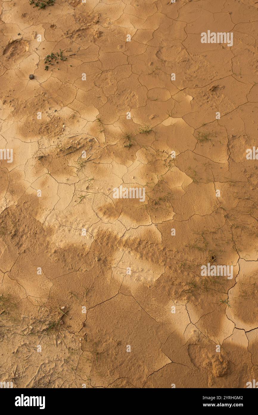 Immagine ravvicinata della terra secca e crepata trovata a Bardenas Reales, Navarra, che mostra la sua unica struttura arida e l'aspetto simile a un deserto in questo natur Foto Stock