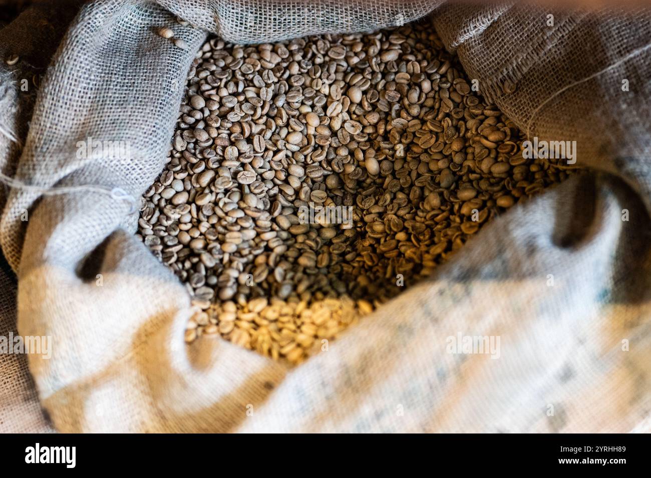 Un sacco in burlap pieno di chicchi di caffè non tostati, che cattura la loro naturale consistenza e colore terroso, illuminato da una luce morbida e calda, perfetta per il caffè Foto Stock