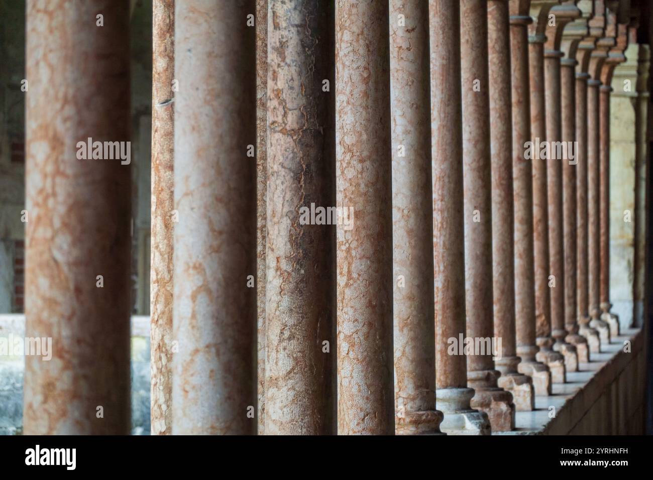 Prospettiva dettagliata di colonne simmetriche in pietra che mostrano la classica bellezza architettonica e l'eleganza. Foto Stock