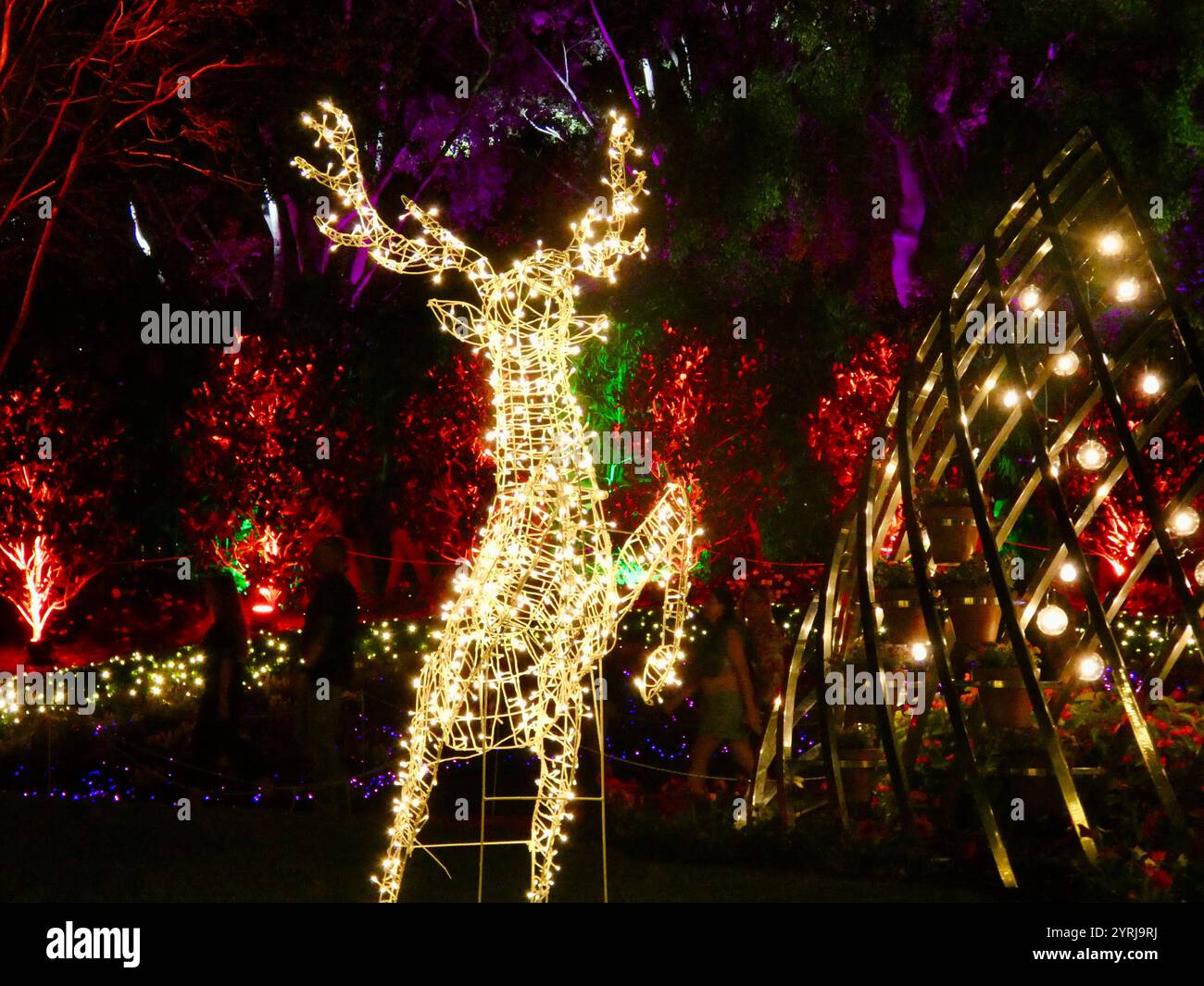 Cervo di Natale Foto Stock