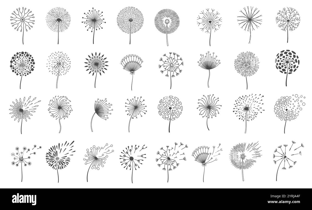 Sagome di dente di leone in bianco e nero con vari delicati motivi di semi e fiori di dente di leone che fluttuano nel vento. Adatto per arredamento, arte Illustrazione Vettoriale