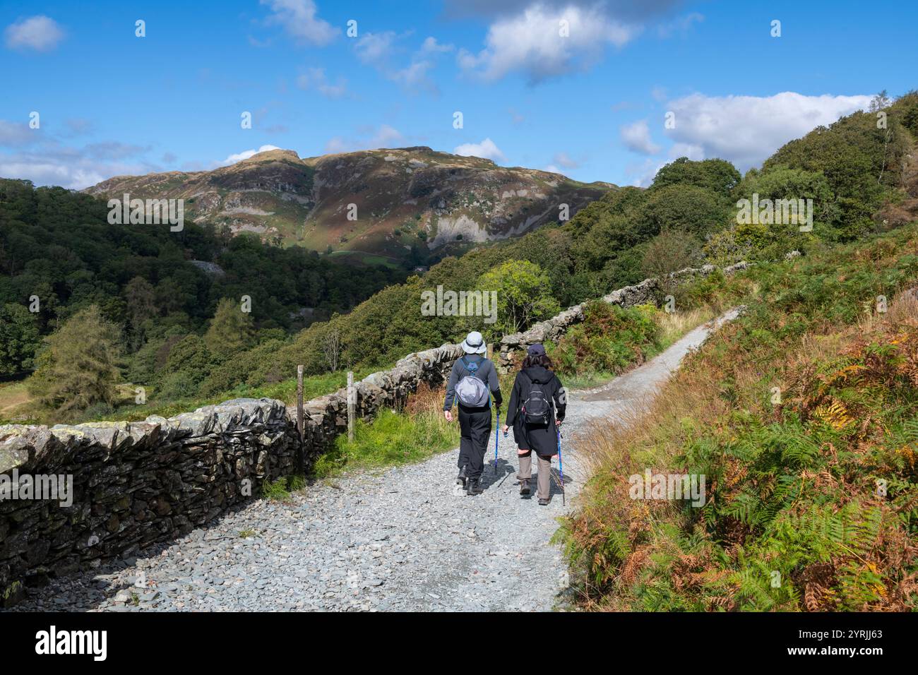 Due turisti stranieri si godono il paesaggio tra la cava di Hodge Close e Little Langdale a nord di Coniston nel parco nazionale del Lake District. Foto Stock