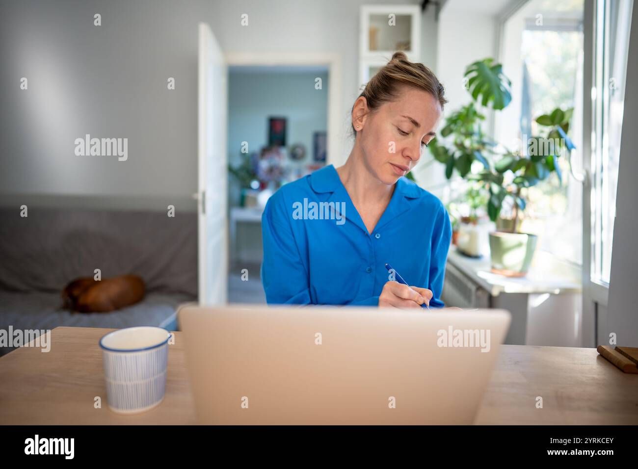 Una donna d'affari premurosa lavora con un notebook, prendendo appunti in un tranquillo ufficio domestico. Lavoro in remoto Foto Stock