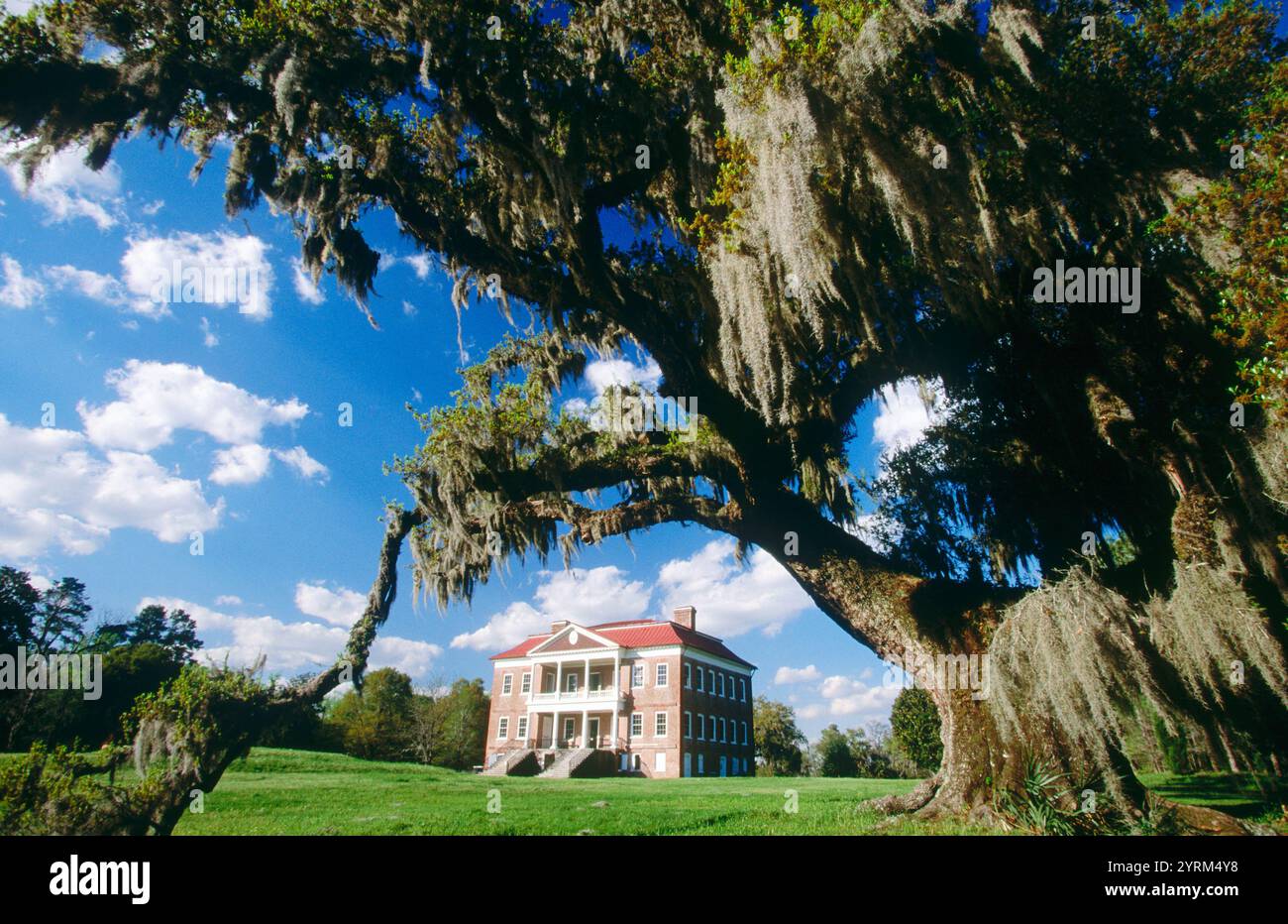 Drayton Hall (costruita nel 1738), piantagione pre-guerra civile. Charleston. Carolina del Sud, Stati Uniti Foto Stock