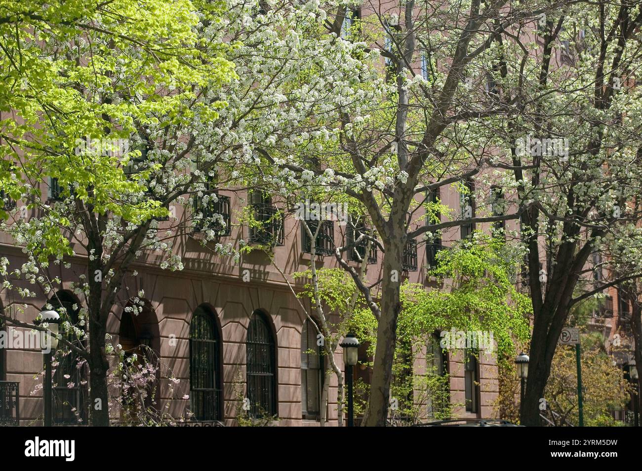 West 22nd Street. Quartiere storico di Chelsea. La primavera fiorisce. Chelsea. Manhattan. New York. STATI UNITI. Foto Stock