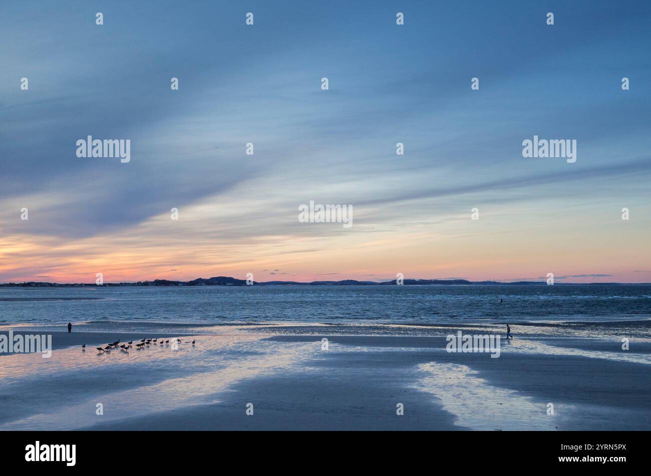 USA, Massachusetts, Cape Ann, Gloucester, Annisquam Beach, crepuscolo. Foto Stock