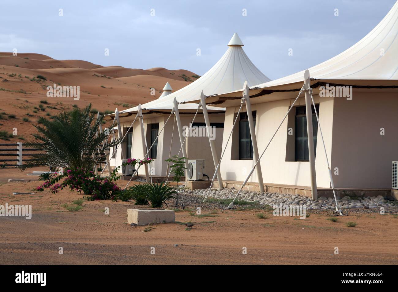 Bougainvillea Palm Tree e Aloe vera Desert Nights Camp Wahabi Sands Oman Foto Stock