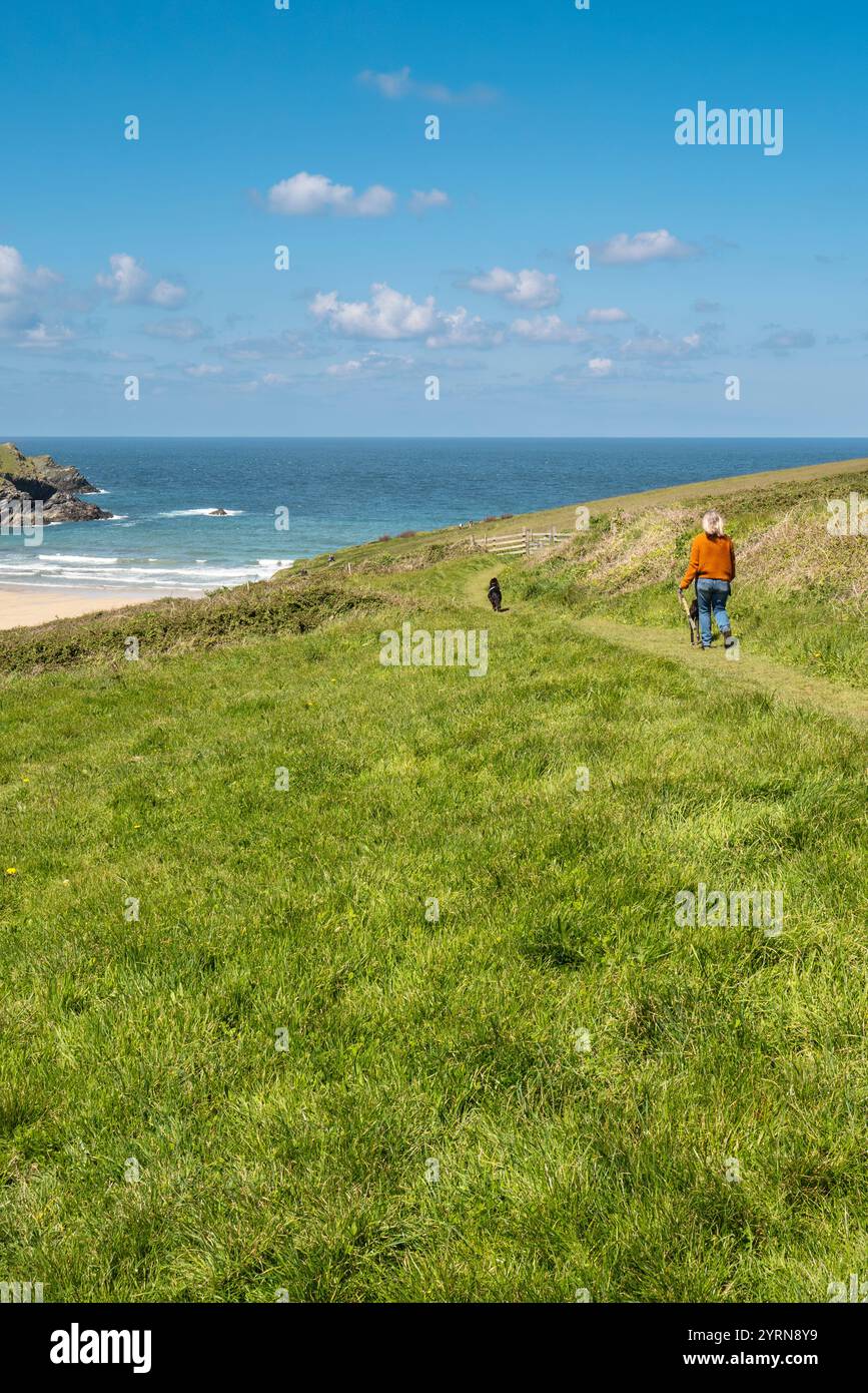 Una donna che cammina i suoi cani lungo il South West Coast Path vicino alla tranquilla barzelletta Polly Porth sulla costa di Newquay in Cornovaglia nel Regno Unito. Foto Stock