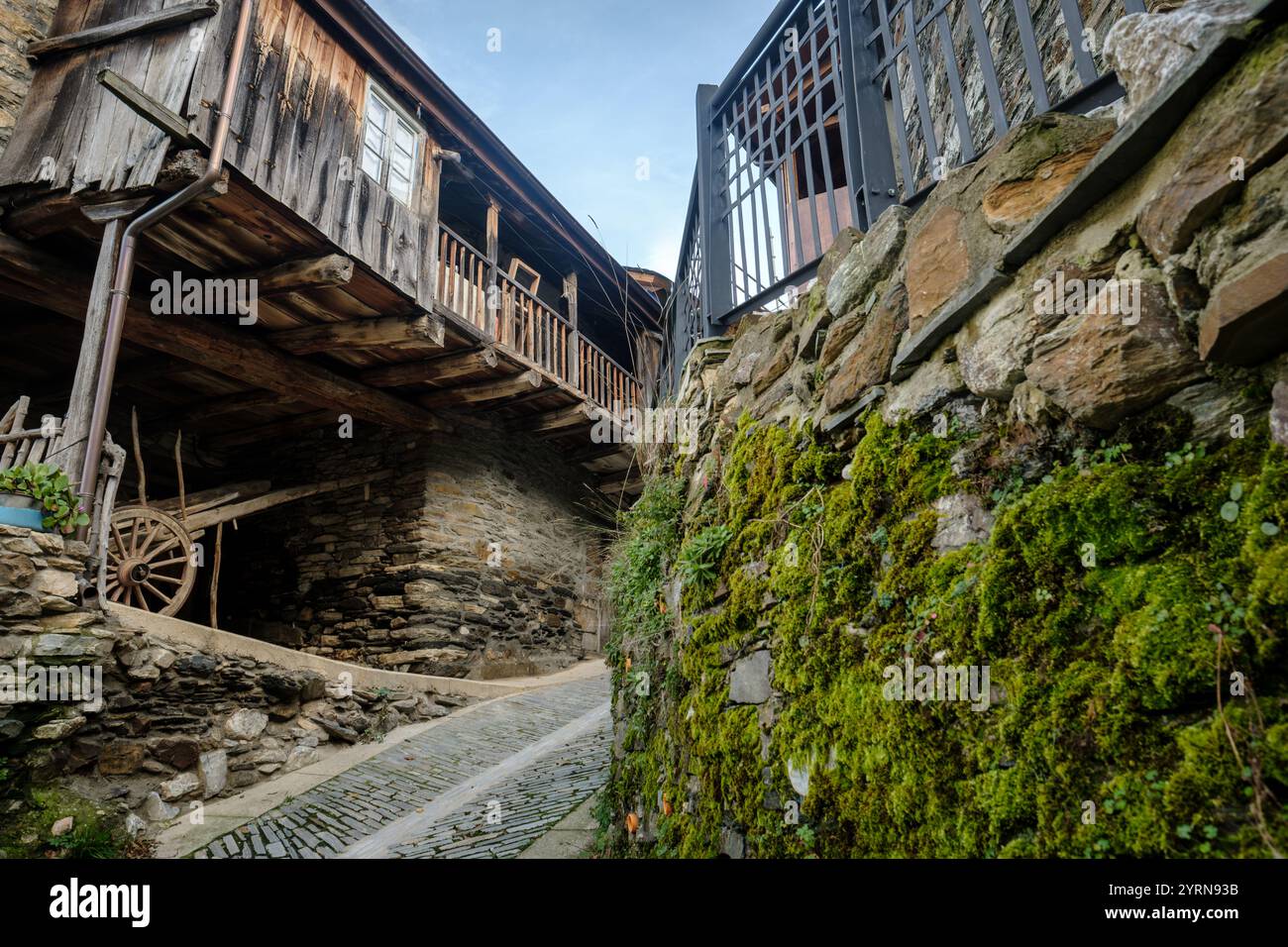 Muschio che cresce su un muro di pietra nella pittoresca Peñalba de santiago, spagna Foto Stock