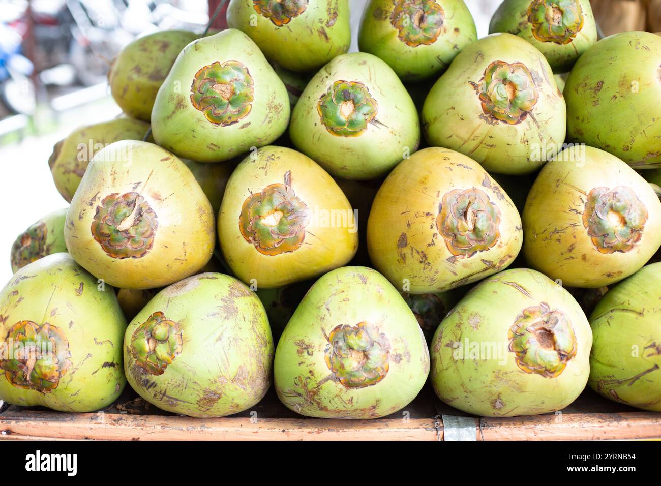 Pune, India, Coconutm Fresh, acqua di cocco Foto Stock