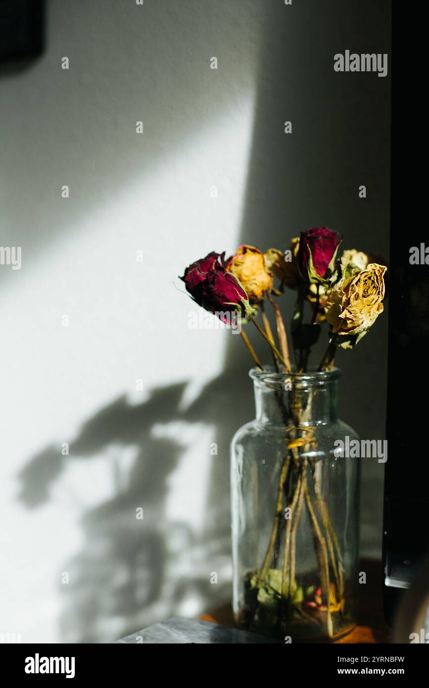 Rosa, oro, fiore, rose natura morta, fiori secchi, ombra Foto Stock