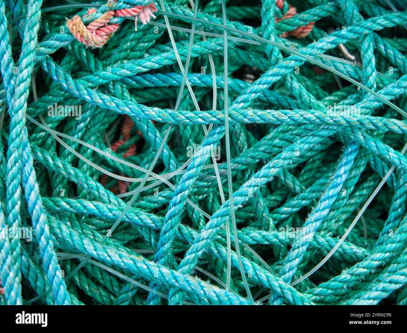 Funi e linee in plastica utilizzate per la pesca commerciale. Foto Stock