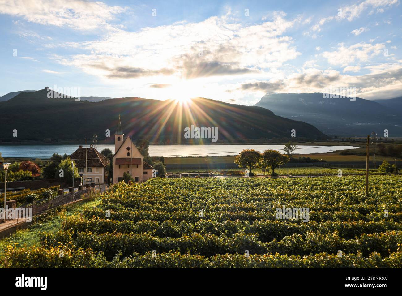 Lago di Caldaro all'alba, vigneti in primo piano Foto Stock