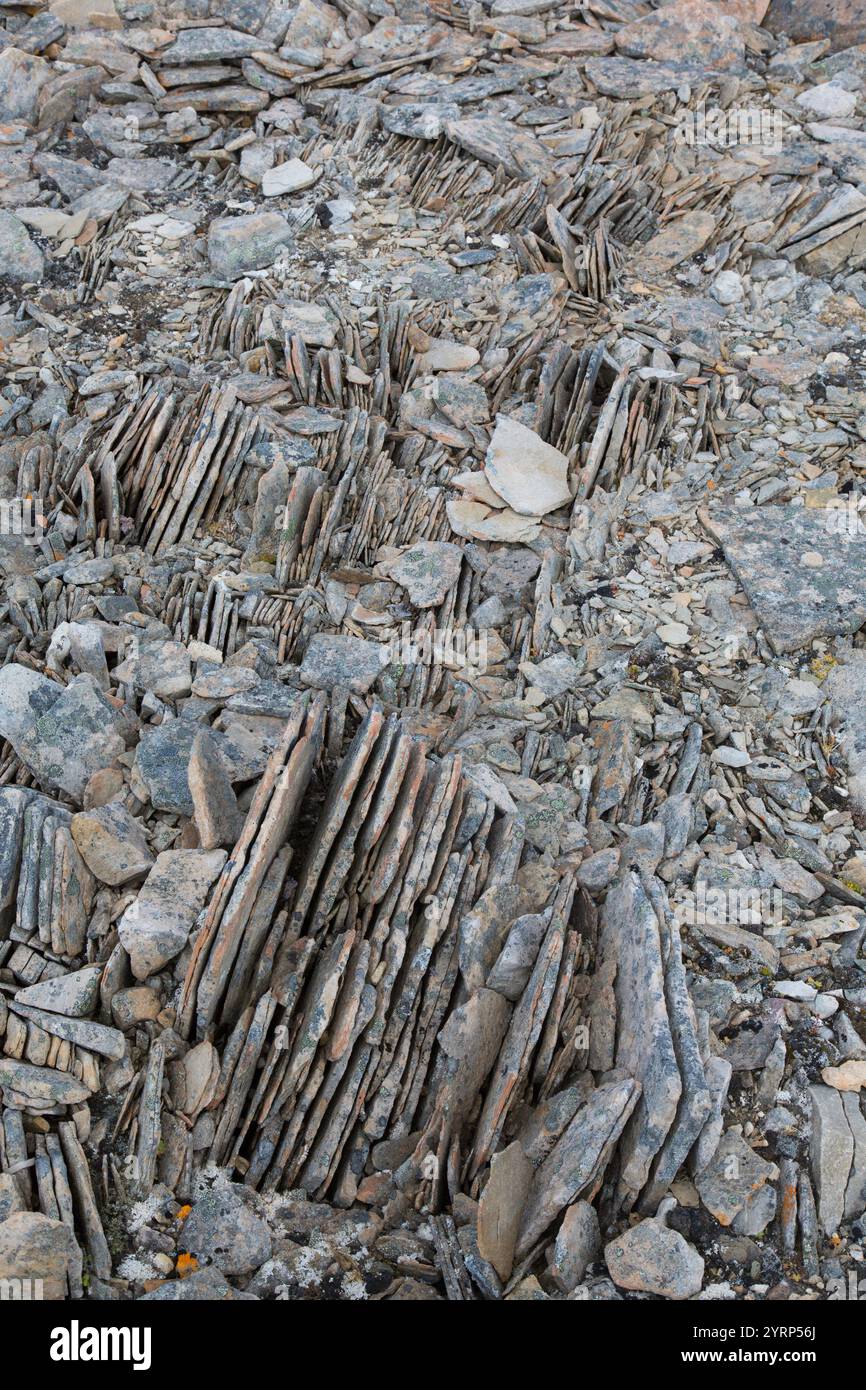 Pane troll, fette di pietra formate dal gelo, Spitsbergen, Norvegia Foto Stock