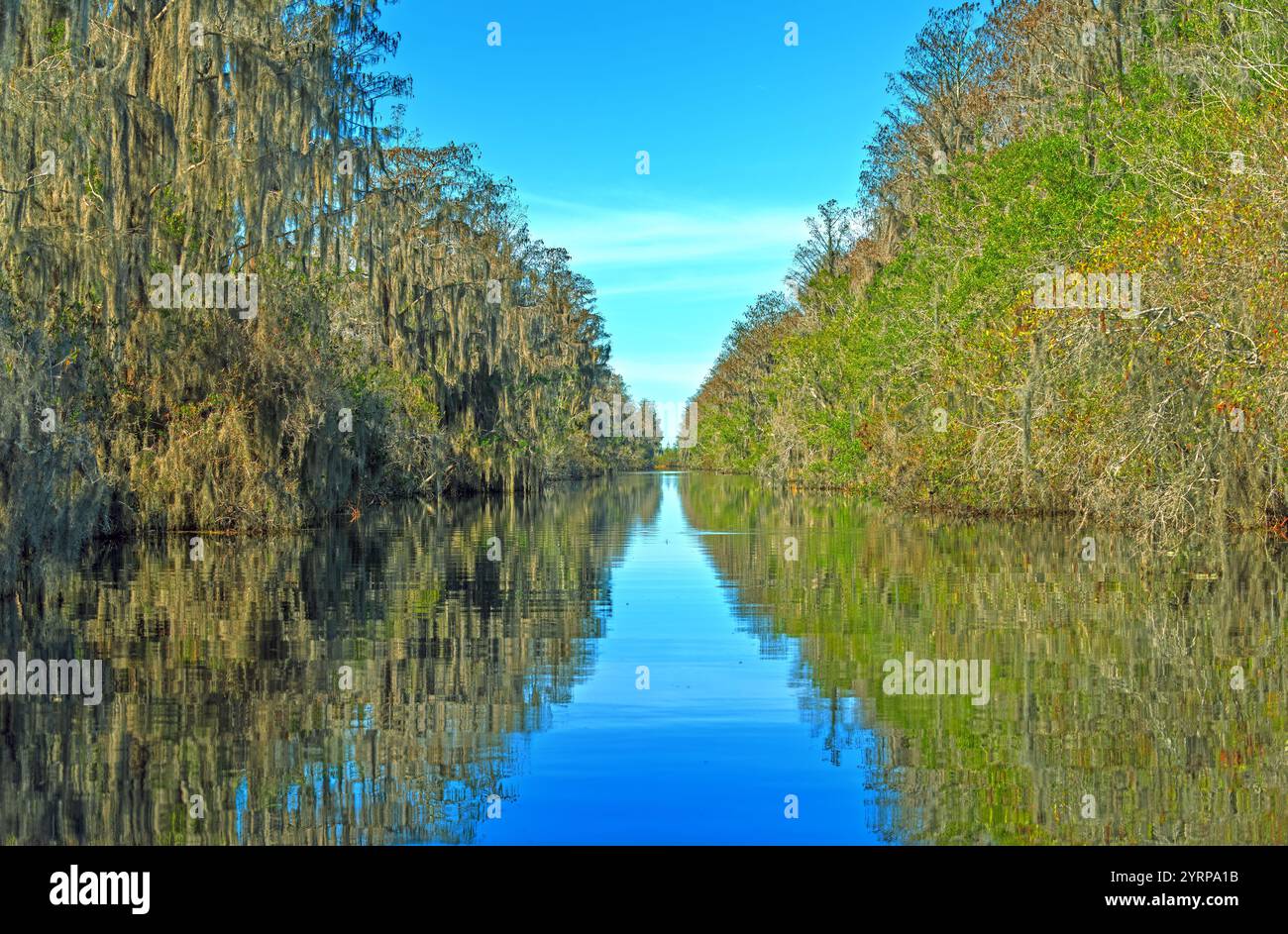 Stretto il canale attraverso Cypress Swamp nella riserva naturale nazionale Okefenokee in Georgia Foto Stock