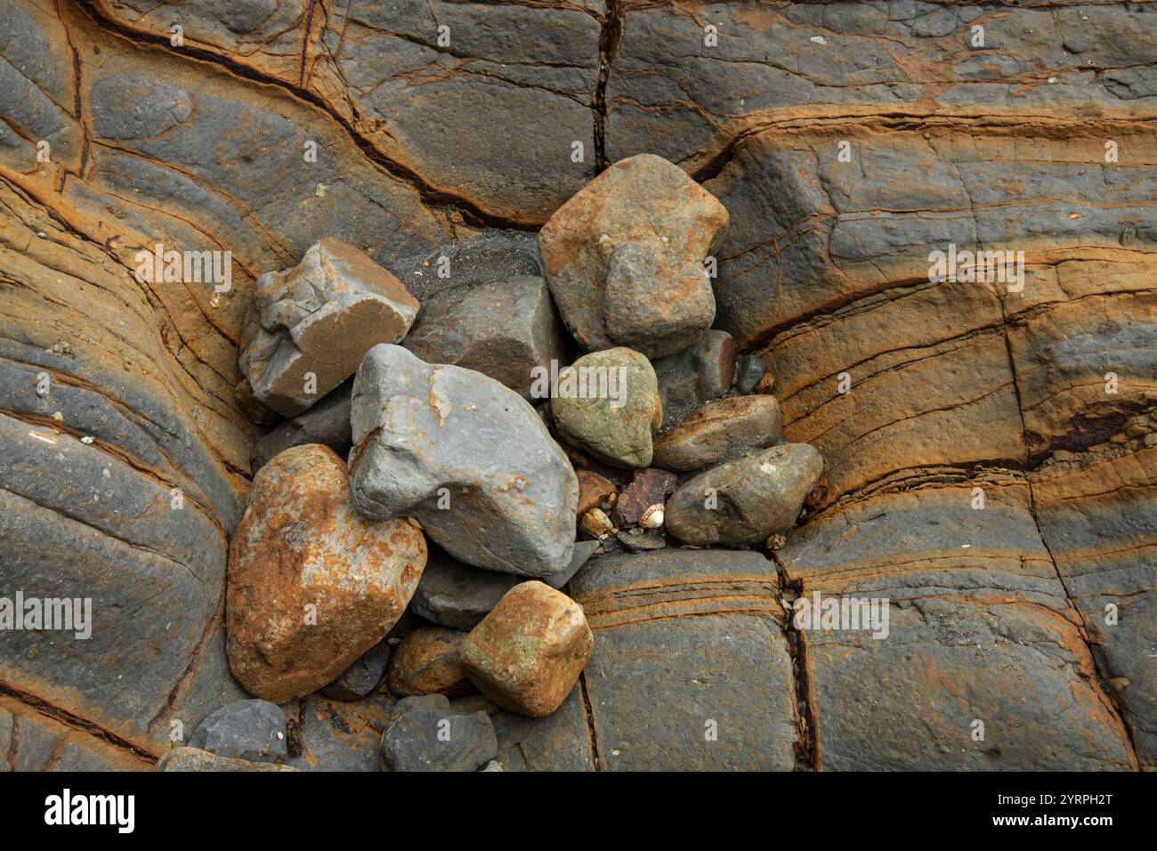 Australia, Tasmania, Eaglehwk Neck, Penisola di Forestier, pavimentazione tessuta, rocce Foto Stock