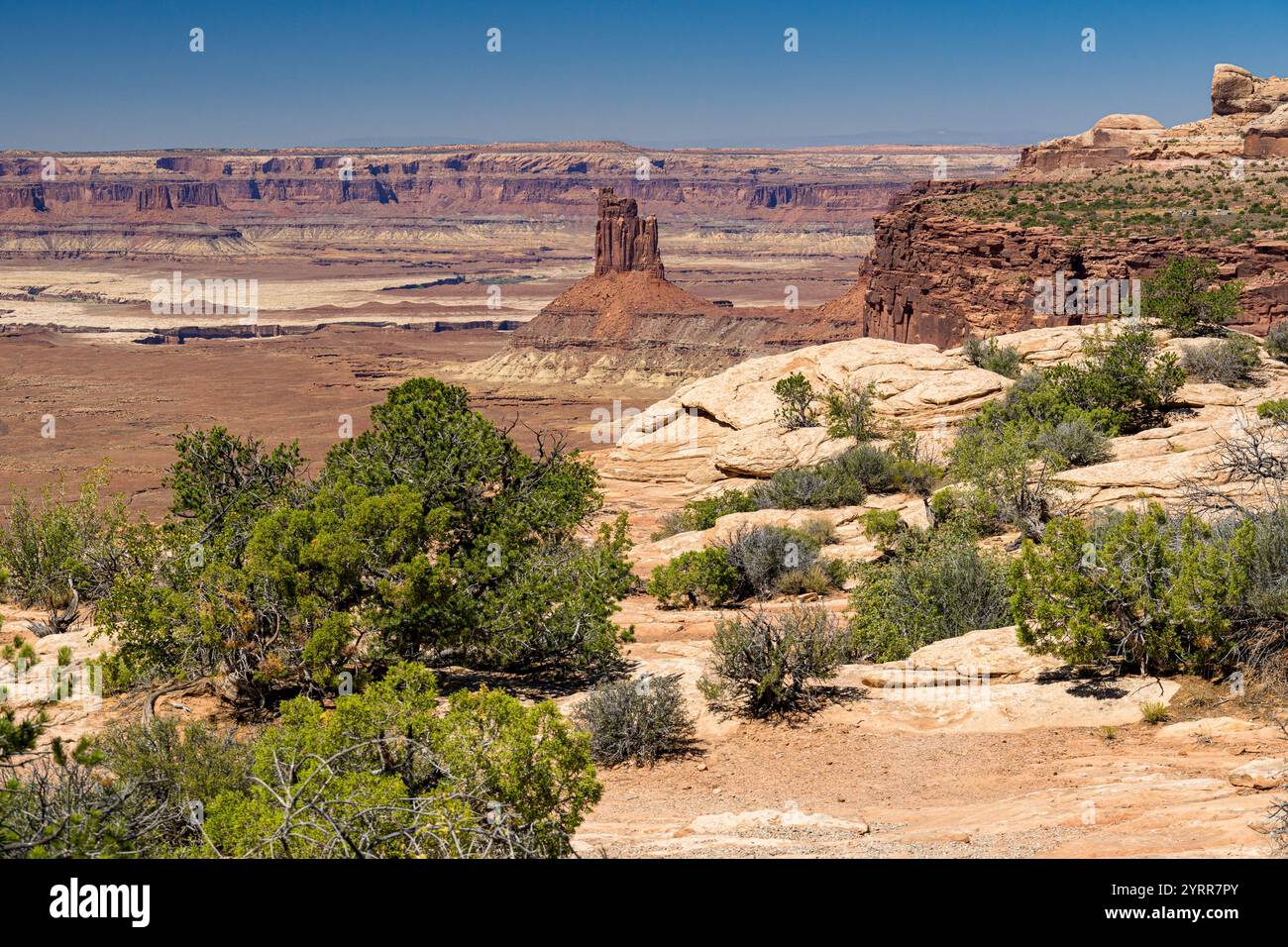 Vista panoramica dalla Candlestick Tower che si affaccia sul quartiere Island in the Sky del Canyonlands National Park, Utah Foto Stock