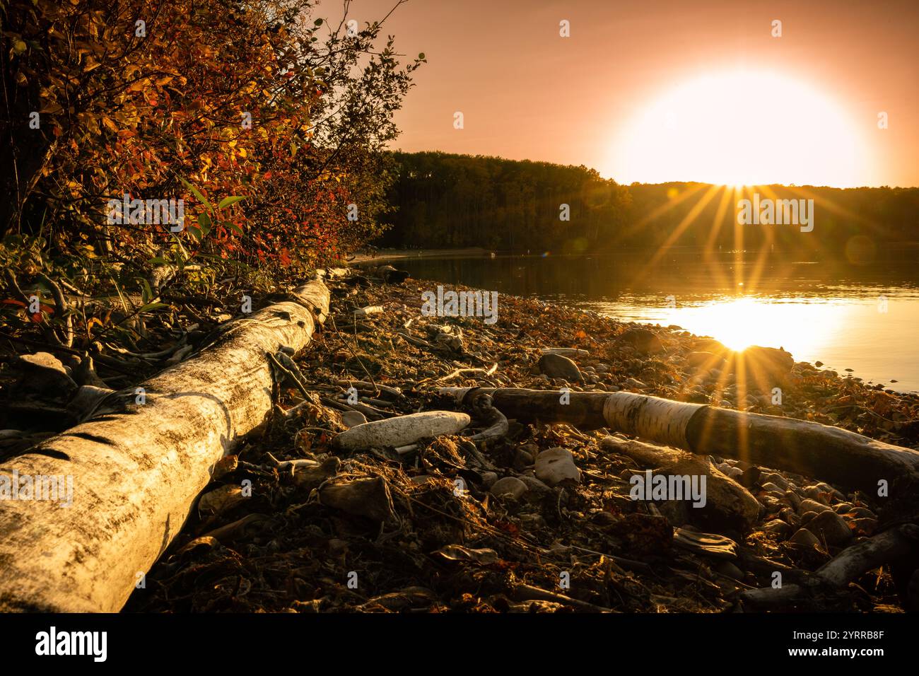 Un tronco è sulla spiaggia accanto a un corpo d'acqua. Il sole sta tramontando, proiettando un caldo bagliore sulla scena Foto Stock
