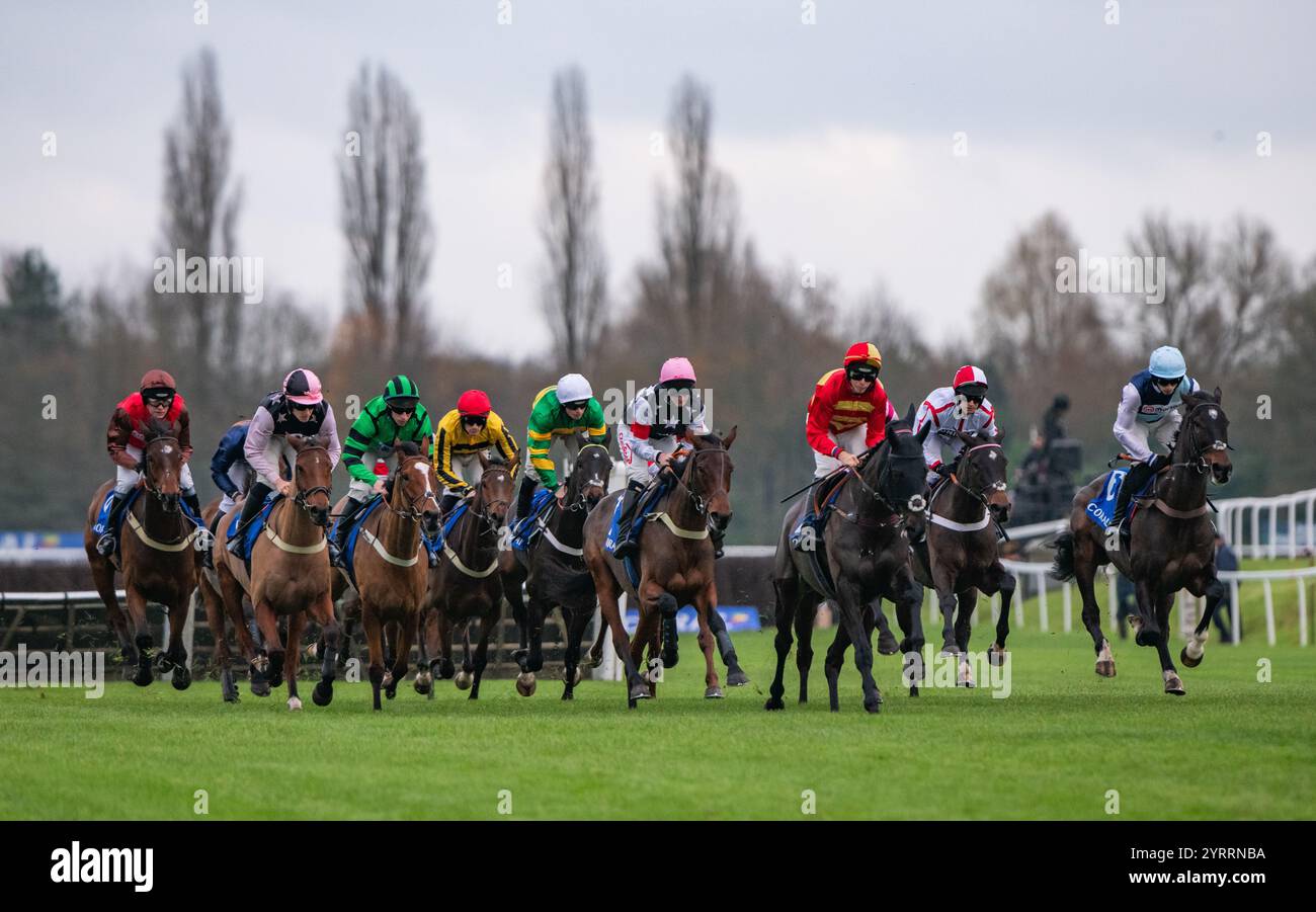 Il campo Coral Racing Club Intermediate handicap hurdle ( Gerry Feilden ). Il vincitore Navajo Indy è sulla sinistra in sete verdi. Foto Stock