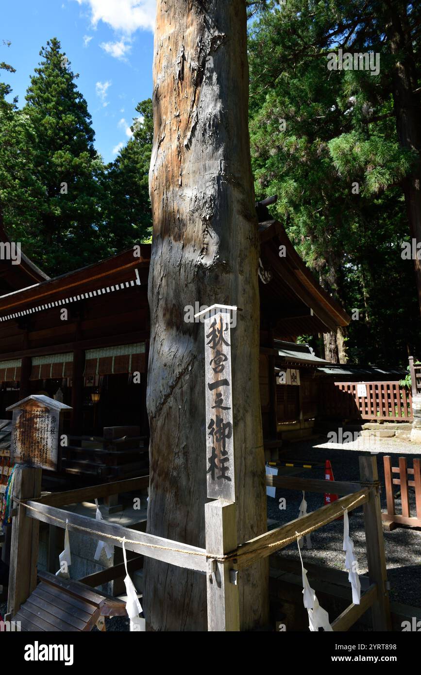 Suwa-taisha Shimo-Sha Foto Stock
