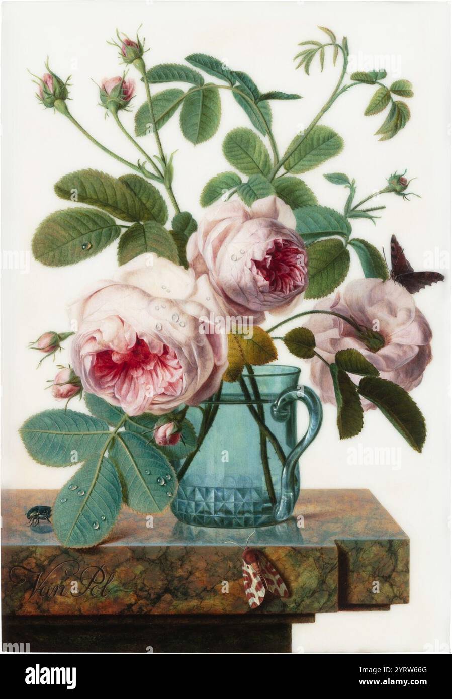 Christiaen van Pol - Un bouquet di rose in vaso di vetro con farfalla, falena e coleottero, il tutto su un bordo di marmo. Foto Stock