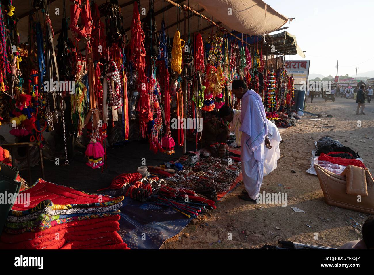 Fiera di Pushkar, Rajasthan, India Foto Stock