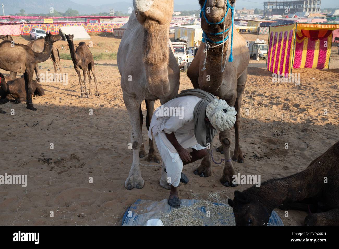 Fiera di Pushkar, Rajasthan, India Foto Stock
