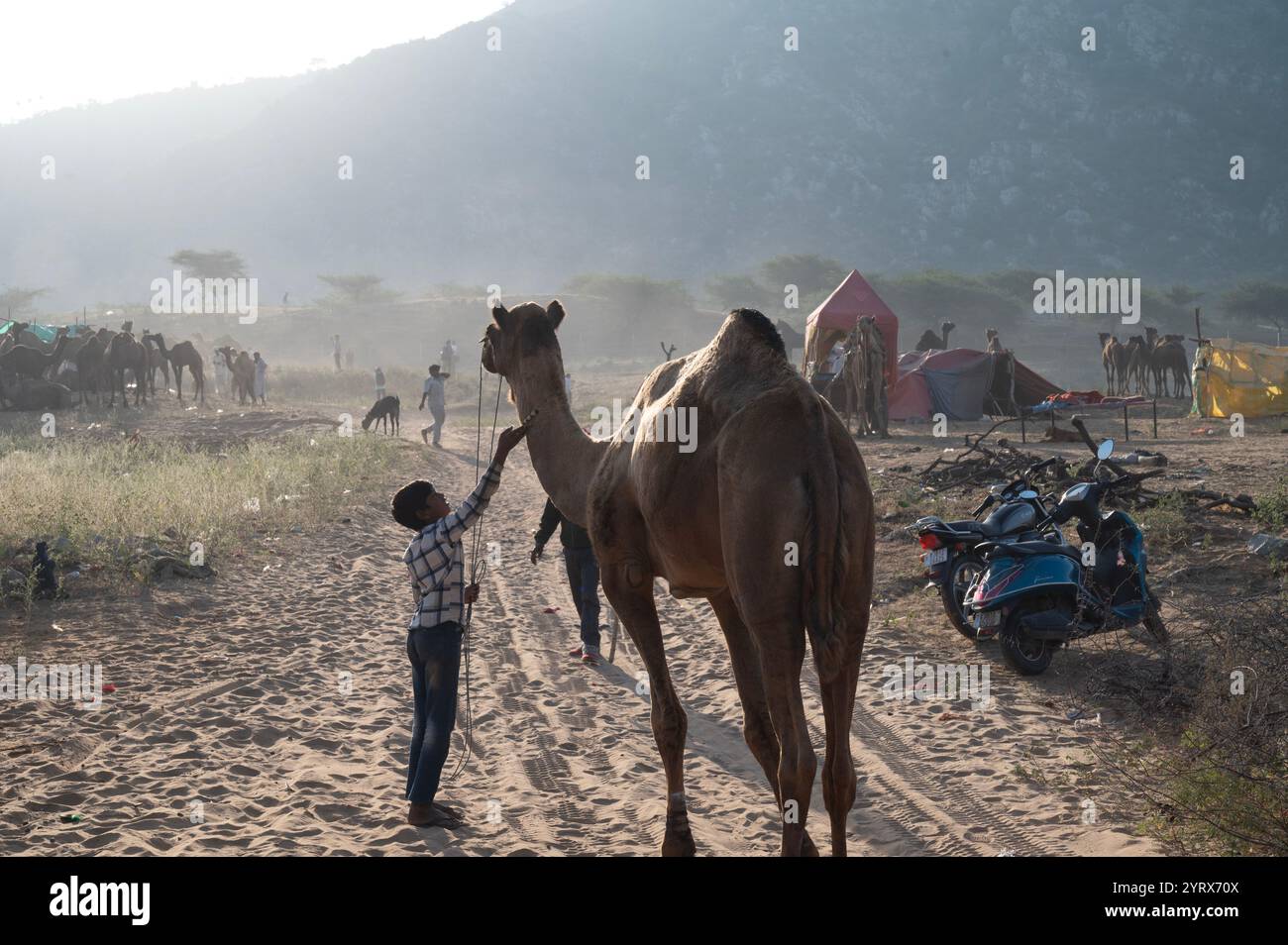 Fiera di Pushkar, Rajasthan, India Foto Stock