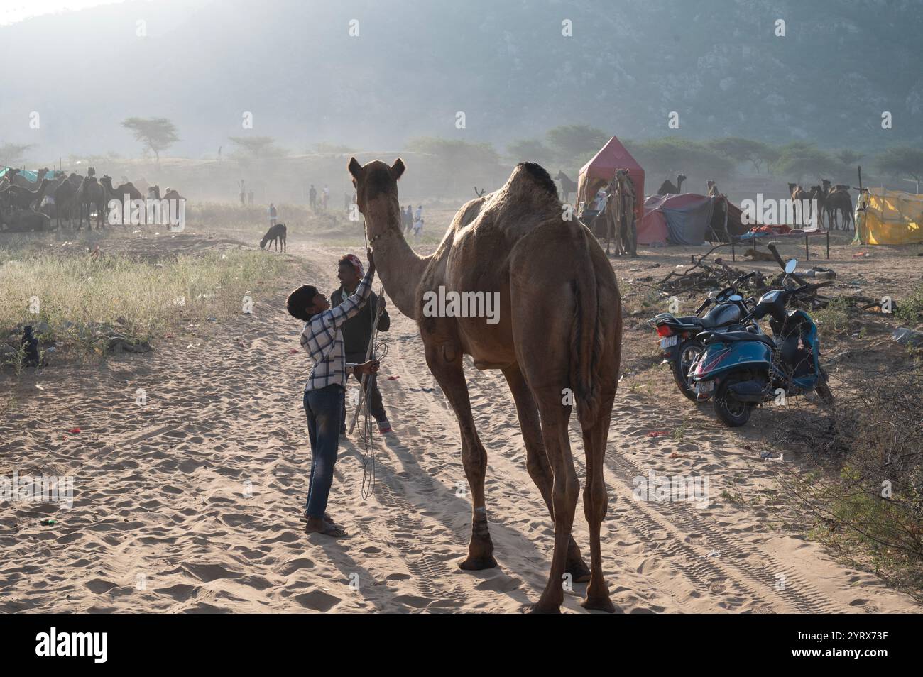 Fiera di Pushkar, Rajasthan, India Foto Stock