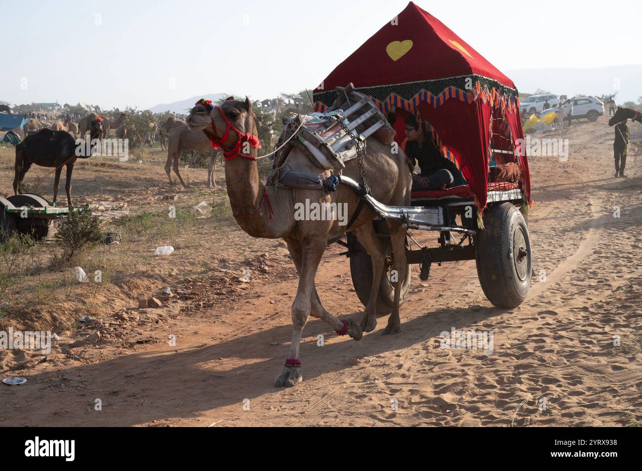 Fiera di Pushkar, Rajasthan, India Foto Stock