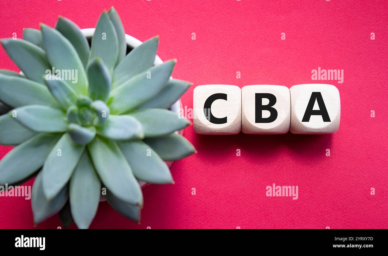 CBA - simbolo dell'analisi costi-benefici. Cubi di legno con parola CBA. Bellissimo sfondo rosso con piante succulente. Business and Cost Benefit Analysis conc Foto Stock