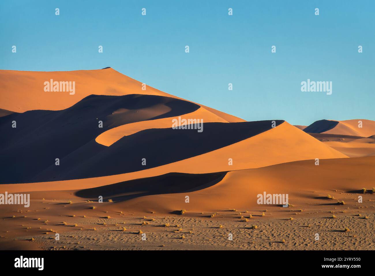 Vista delle curve delle dune di sabbia di Big Mamma all'alba a Sossusvlei, parco nazionale Namib Naukluft, paesaggio panoramico della Namibia, Africa Foto Stock