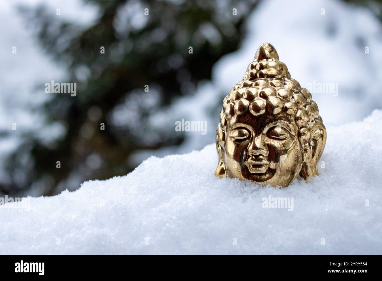 Statua della testa del Buddha d'oro parzialmente sepolta nella neve con sfondo sfocato della foresta invernale, simbolo di pace e spiritualità Foto Stock