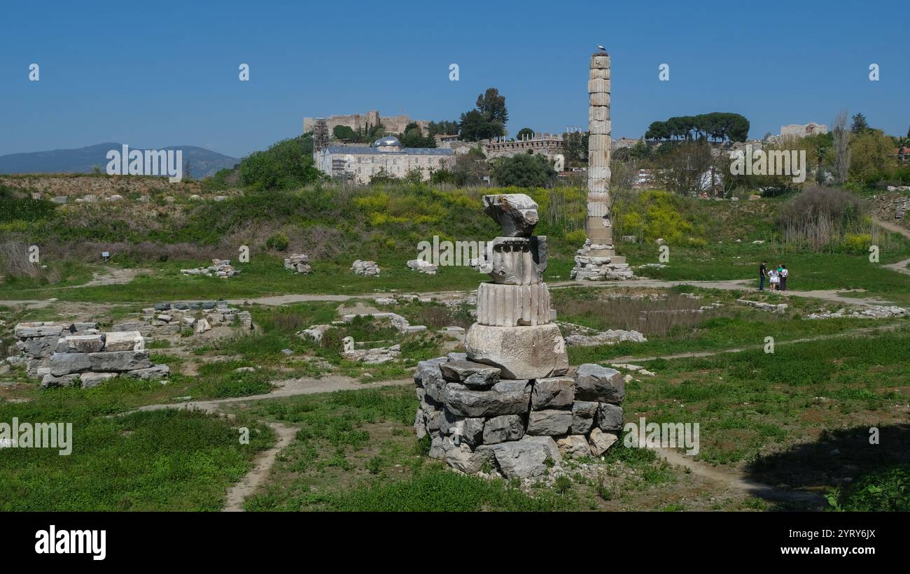 Le rovine del Tempio di Artemide a Selcuk, Turchia. Era una delle sette meraviglie del mondo antico. Foto Stock