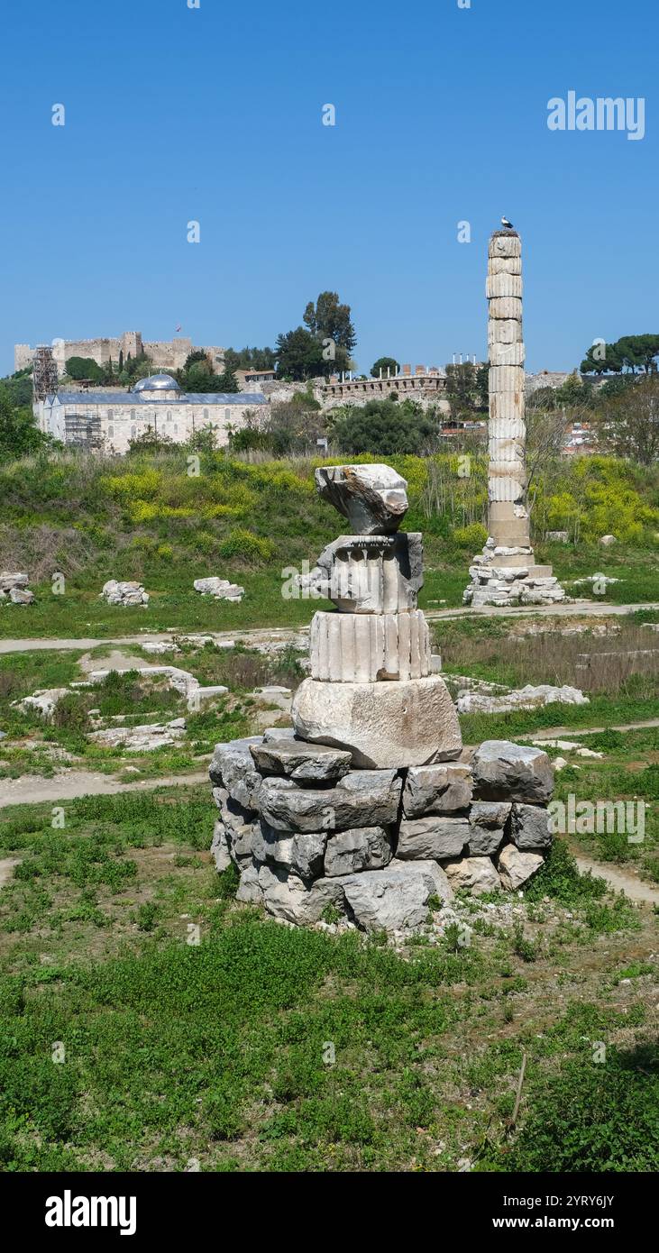 Le rovine del Tempio di Artemide a Selcuk, Turchia. Era una delle sette meraviglie del mondo antico. Foto Stock