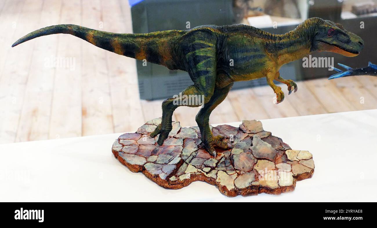 Modello di un Megalosaurus, un genere di grandi dinosauri teropodi mangiatori di carne del periodo Giurassico medio (stadio Bathoniano, 166 milioni di anni fa) dell'Inghilterra meridionale Foto Stock