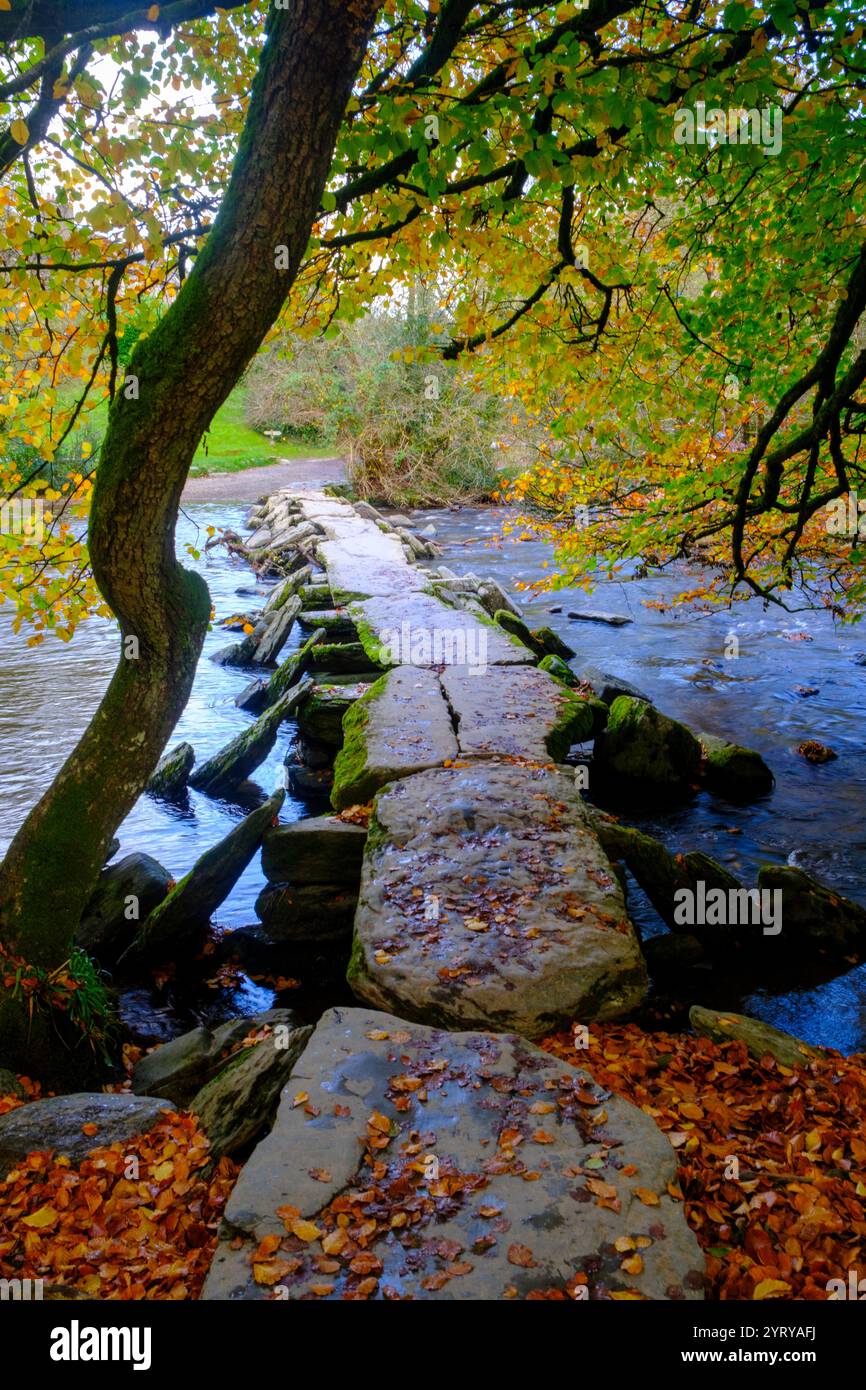 Segni di autunno a Tarr Steps, clapper bridge after rain in Exmoor National Park, Somerset, Regno Unito Foto Stock