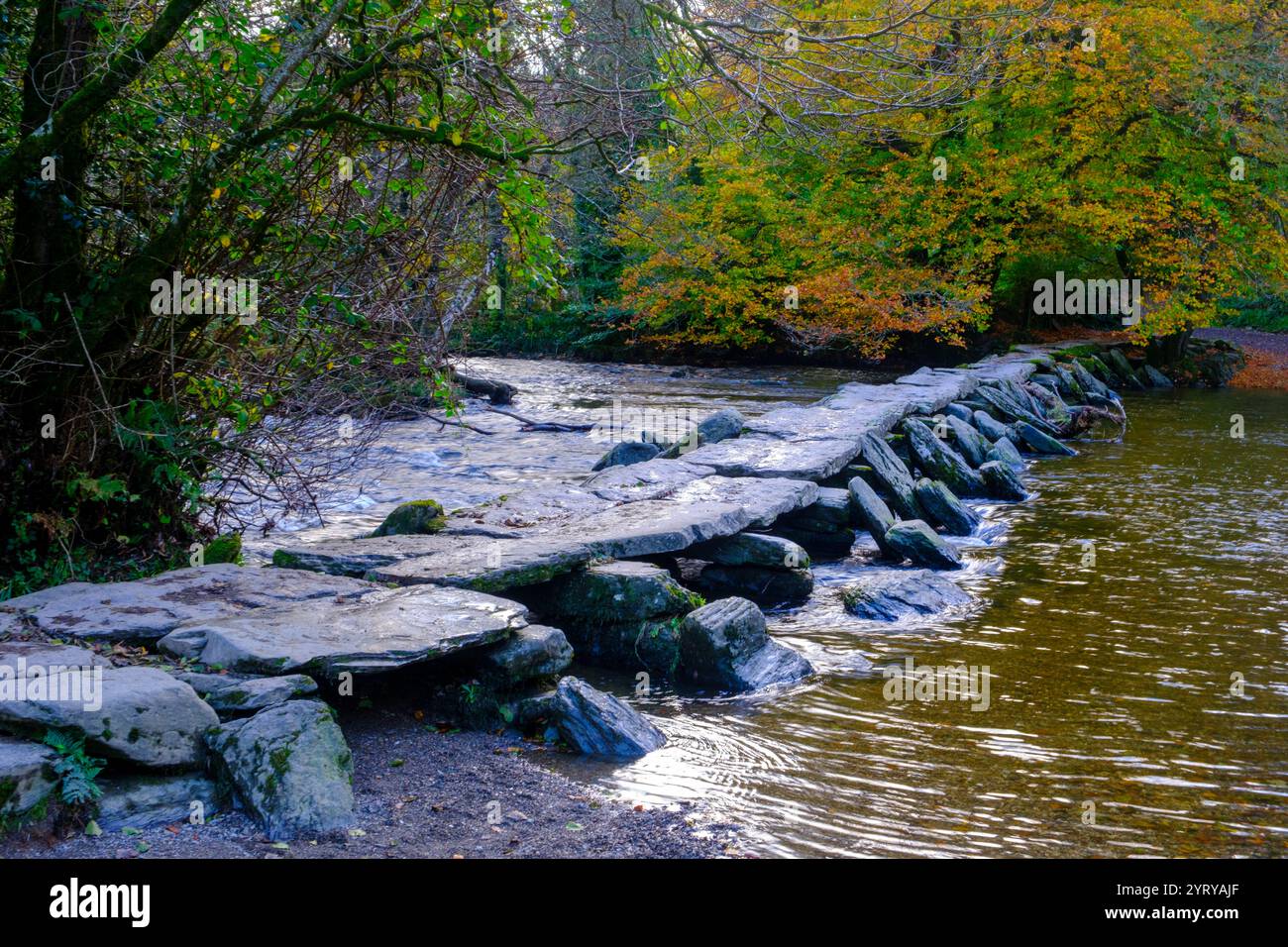 Segni di autunno a Tarr Steps, clapper bridge after rain in Exmoor National Park, Somerset, Regno Unito Foto Stock