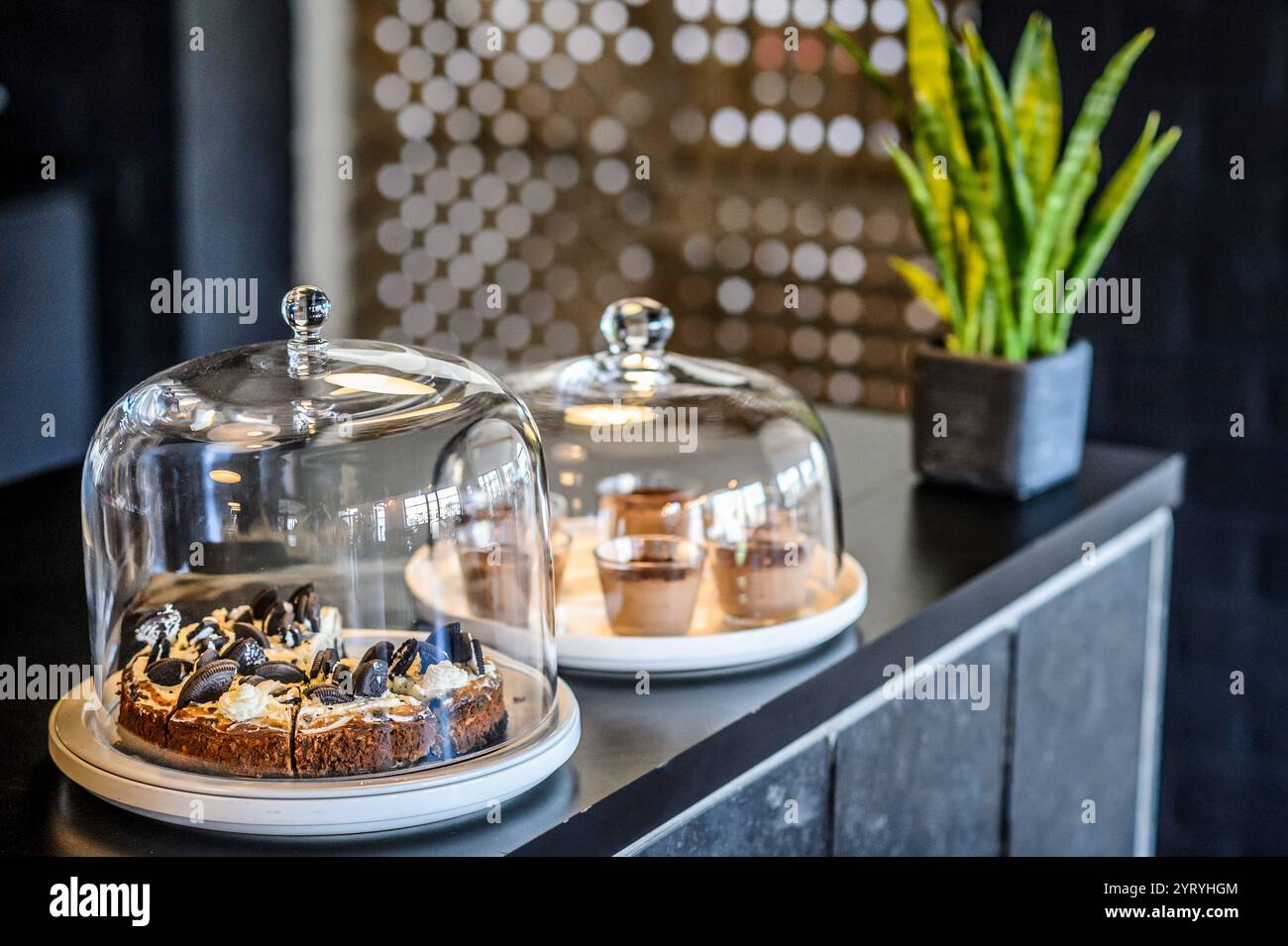 Dessert esposti sotto eleganti cupole di vetro in un elegante Cafe interno, che mette in risalto torte e dolci indulgenti in un'invitante atmosfera contemporanea Foto Stock