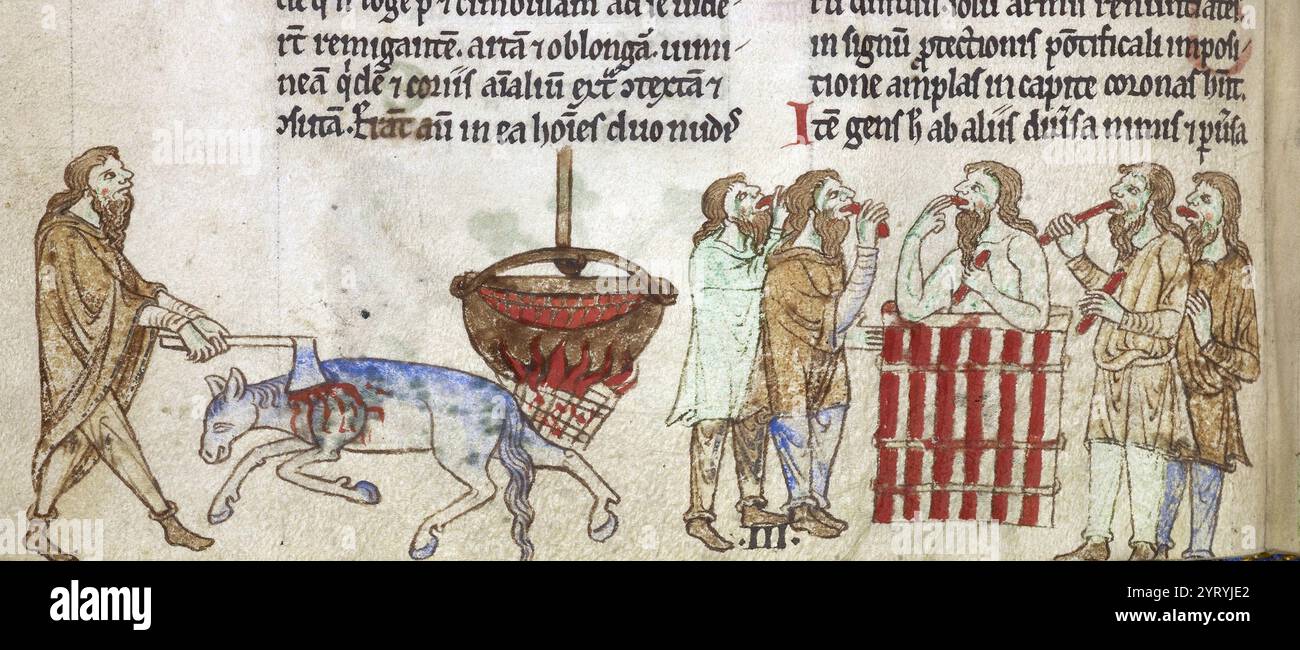 Rituale regale irlandese. Viene sacrificata una cavalla bianca, viene preparato uno stufato e, dopo che il re irlandese vi ha fatto il bagno, i suoi sostenitori mangiano lo stufato. Da Topographia Hibernica (scritto da Giraldus Cambrensis, altrimenti noto come Gerald del Galles) intorno al 1220 Foto Stock