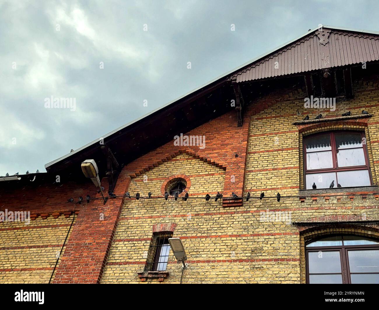 Piccioni arroccati sul Brick Building sotto il cielo nuvoloso a riga - Immagine stock catturata con smartphone