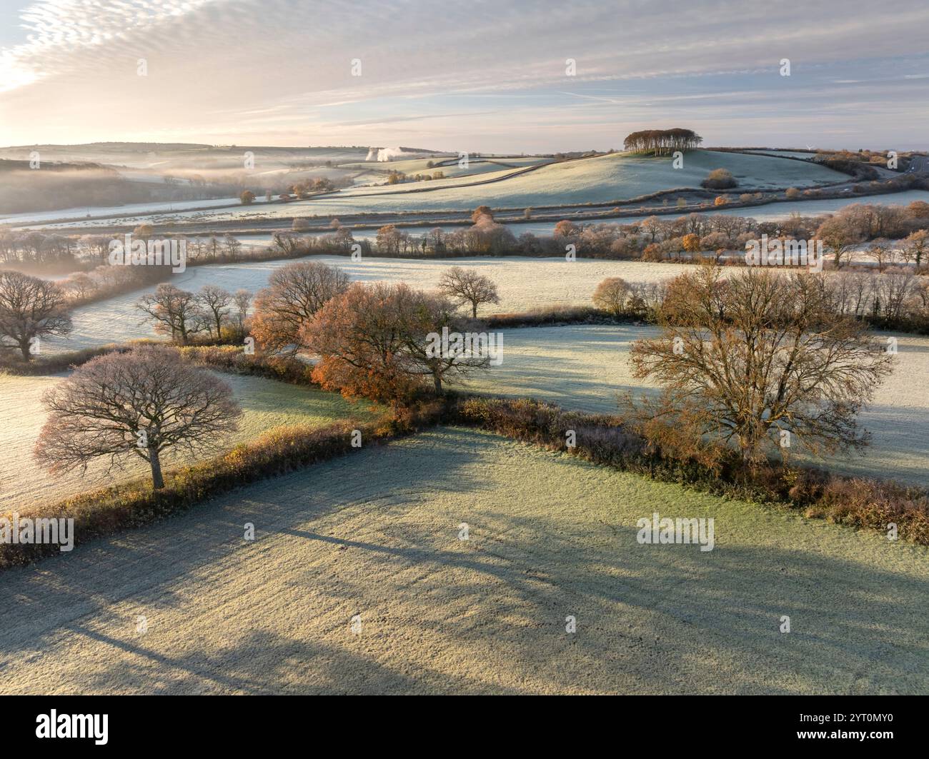 Campagna ondulata ricoperta di gelo vicino a Cookworthy Knapp, Lifton, Devon, Inghilterra. Autunno (novembre) 2023. Foto Stock