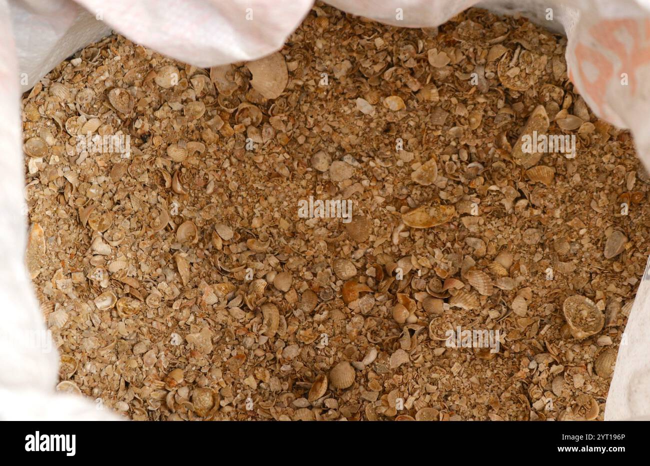 borsa leggera con gusci di mare rotti e interi come alimentazione supplementare per il pollame da allevamento e fonte di calcio per la resistenza del guscio Foto Stock