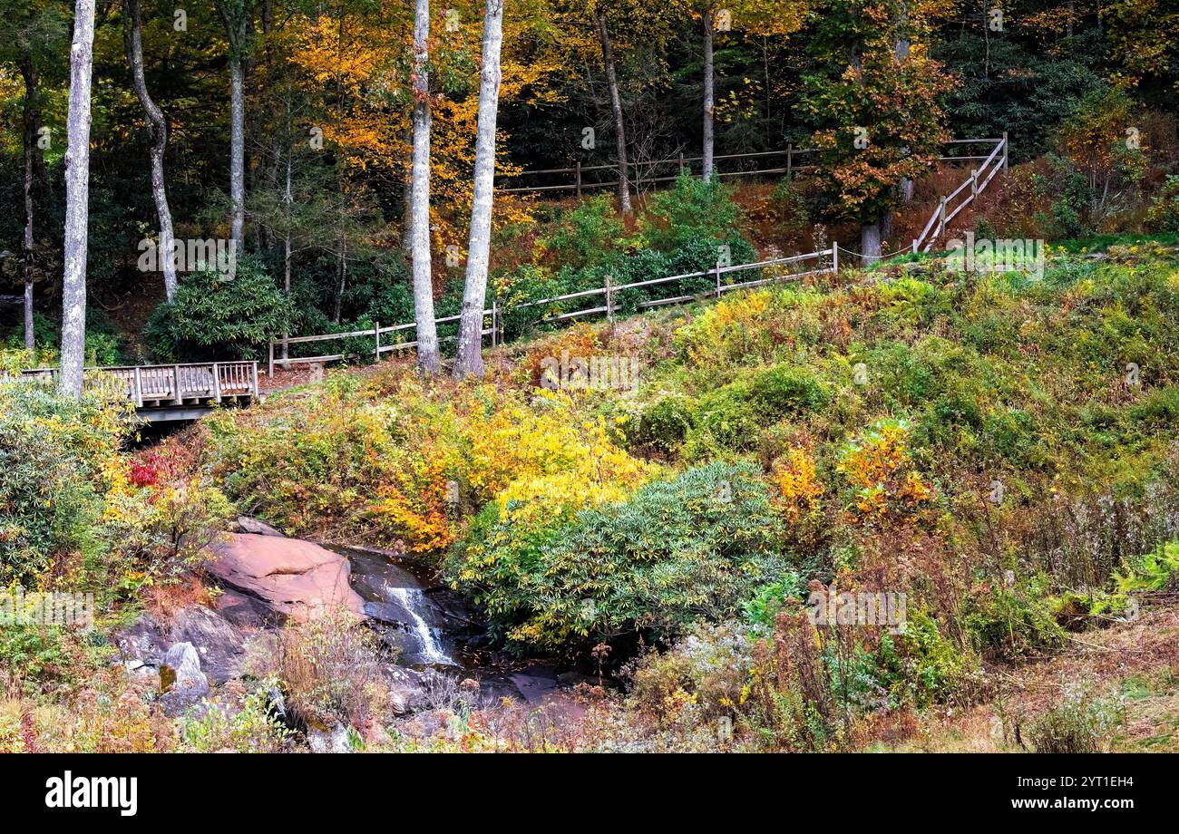 Foresta autunnale, colori vivaci, piccolo ruscello attraverso le Blue Ridge Mountains, North Carolina Foto Stock