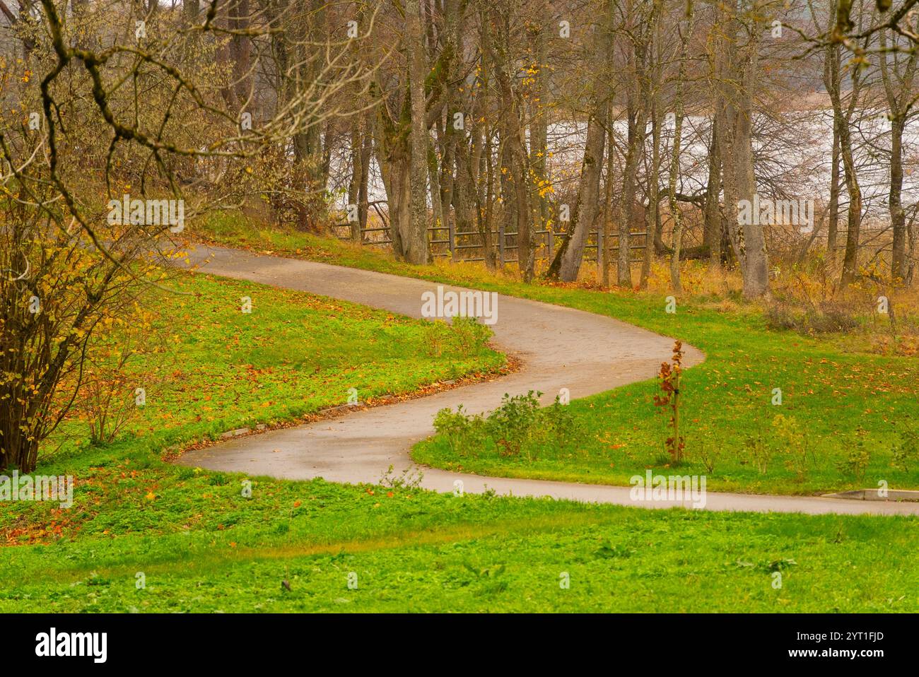 Percorso tortuoso nel parco autunnale Foto Stock