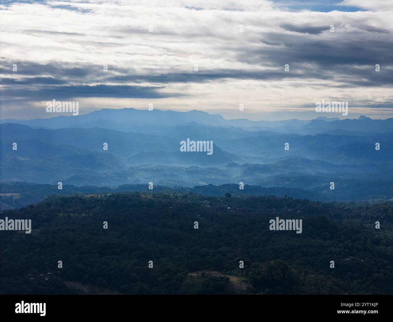 Vista aerea del mattino sulla valle delle colline nebbiose Foto Stock