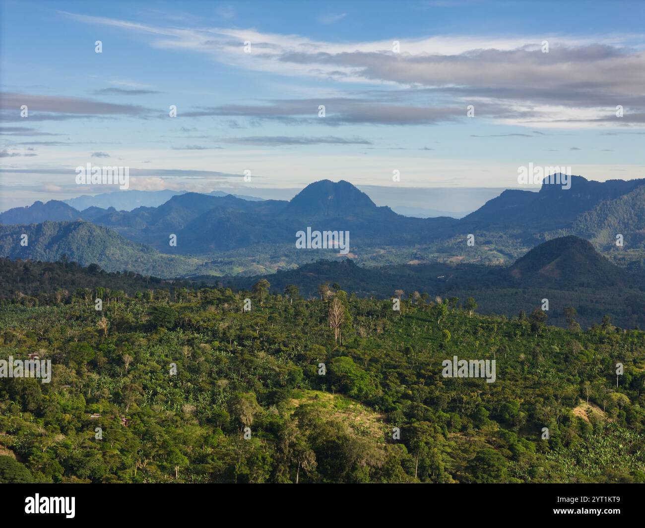 Paesaggio verde della valle con sfondo montano e cielo blu Foto Stock