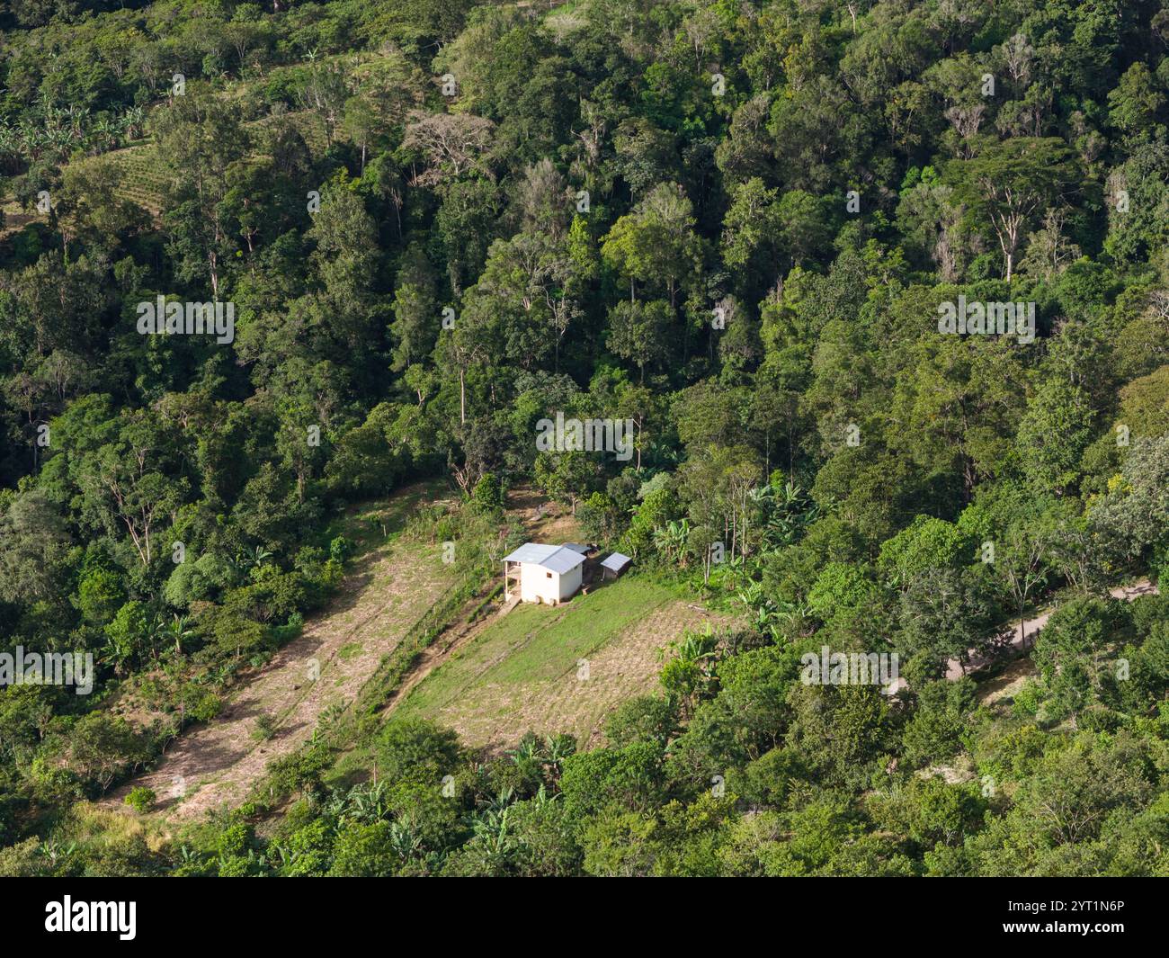 Vista aerea del paesaggio della fattoria della foresta tropicale con droni Foto Stock